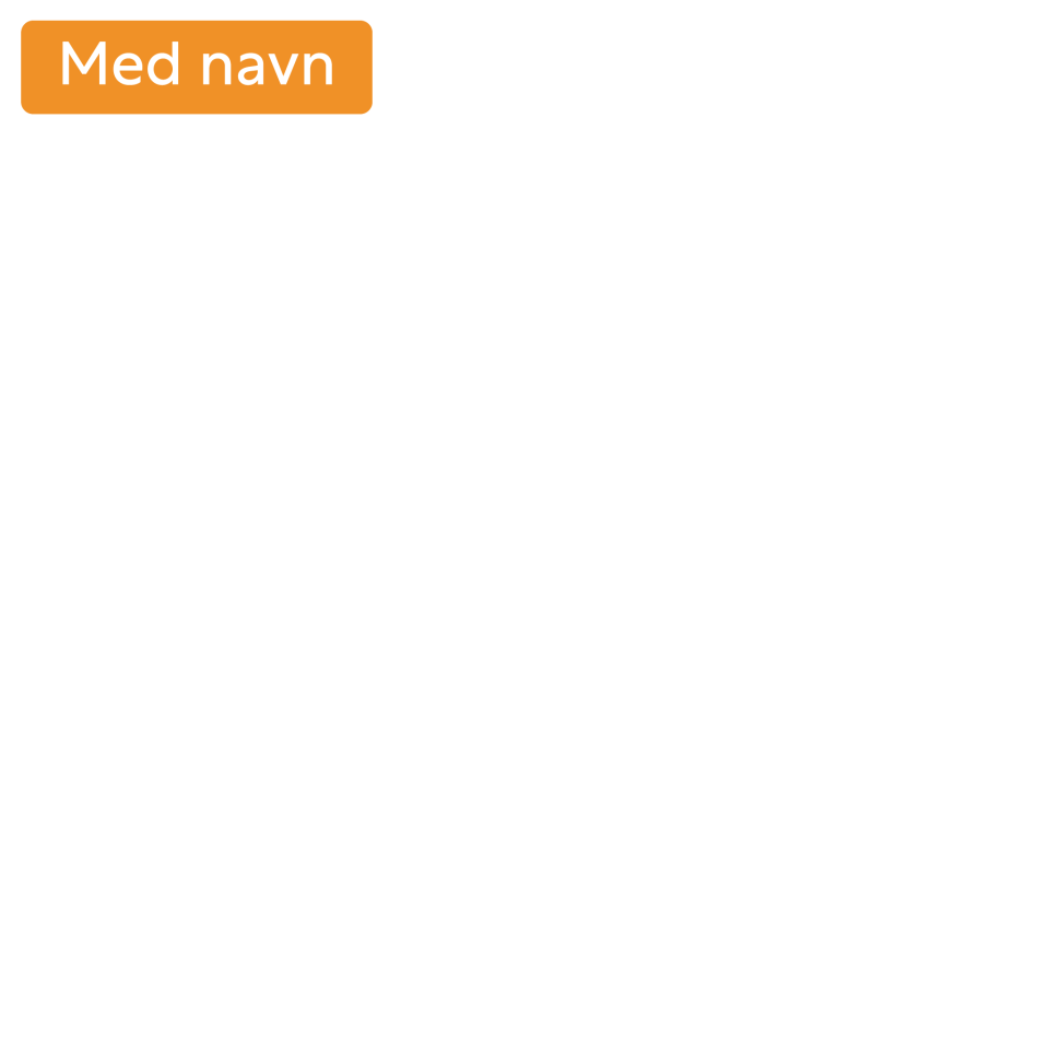 Nøkkelsnor LS med navn