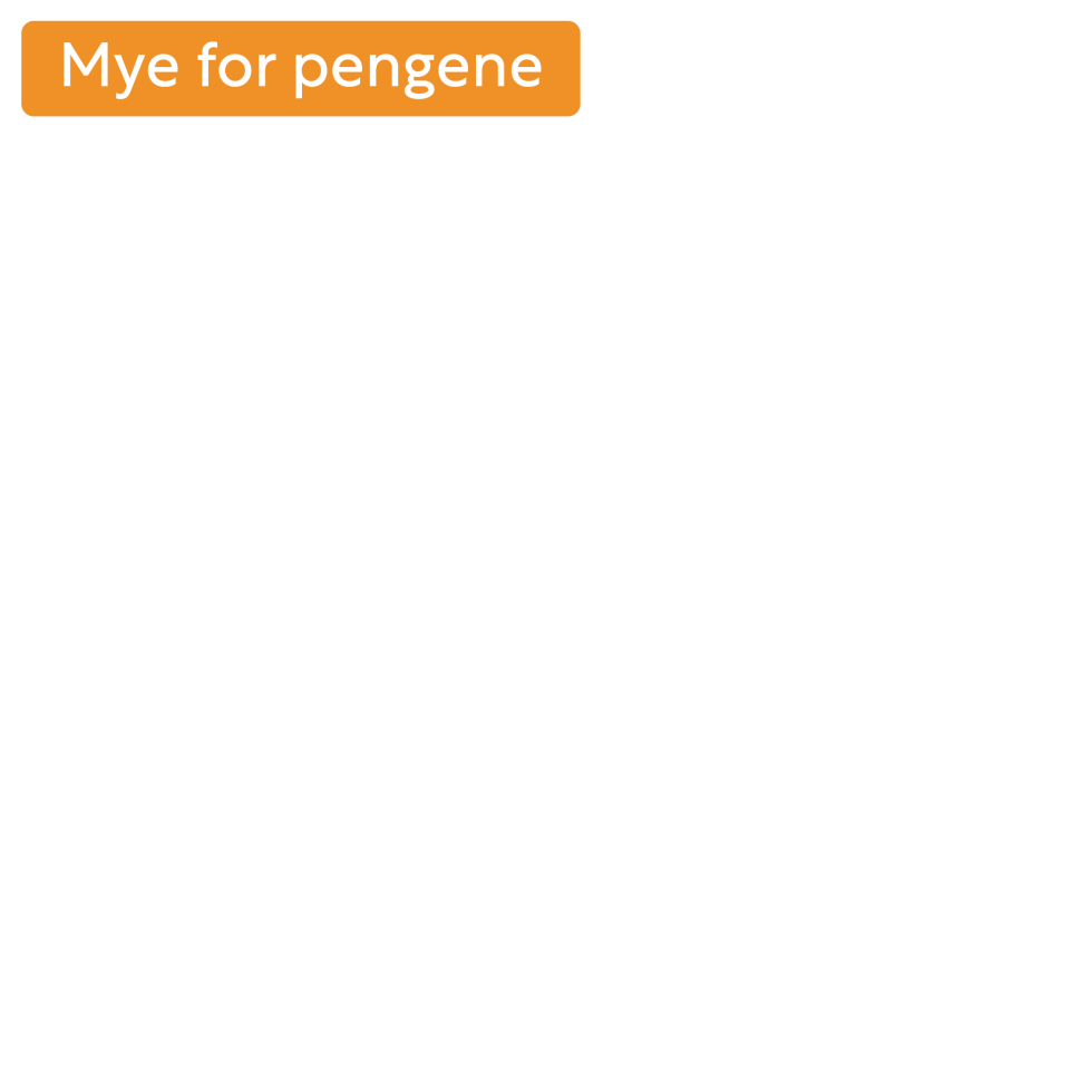 Tinde Bålpakke, Dino